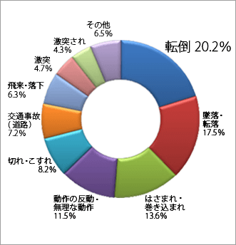 Fig. 1. Death and injury by accident type in 2009